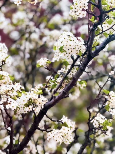 e6ed1523-e2b4-428d-8bfc-904dea86371c (1)