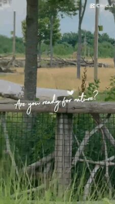 8bb55b05-e36f-4a46-b958-a8dfc2998823