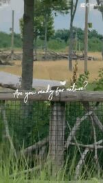 8bb55b05-e36f-4a46-b958-a8dfc2998823