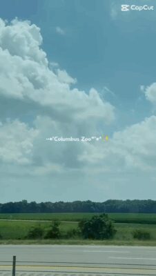 38226189-db1d-4c1e-8868-86eea7049535